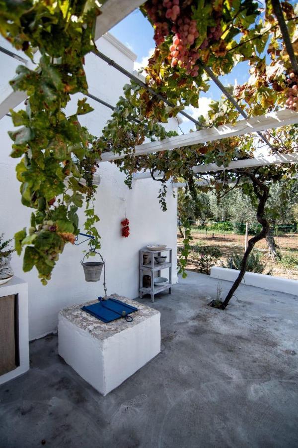 Villa Tommasina Каровиньо Екстериор снимка